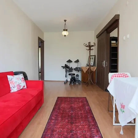 Flat With Two Living And Balcony In Uskudar Apartment