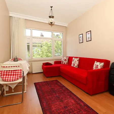 Flat With Two Living And Balcony In Uskudar Apartment